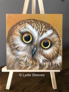 Critter Squares - Oliver CP e-Packet